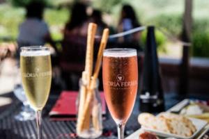 乒乓世界杯历届冠军全记录,从1988年到2022年世界杯历届冠军一览表完整版乒乓