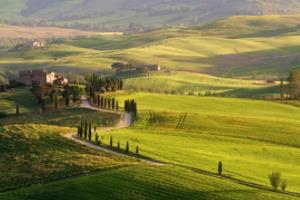 世界杯主题曲十大歌曲排行榜世界杯主题曲十大歌曲排行榜